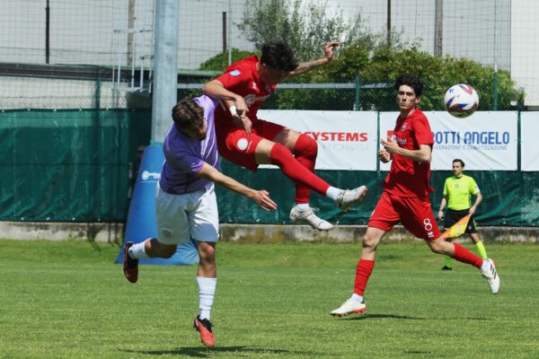 Virtus Ciserano Bergamo-Legnano (1-3): le immagini del match