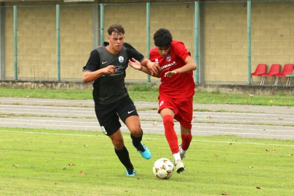 Under 17 Vcbg a segno in Coppa Lombardia contro la Cisanese